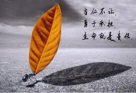 &#23436;&#32654;