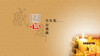 &#23436;&#32654;