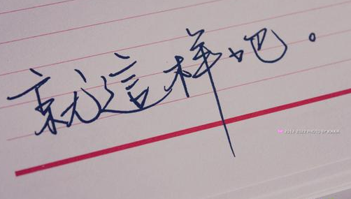 &#23436;&#32654;